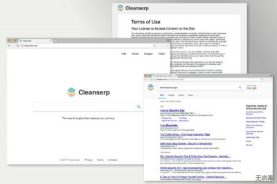 Cleanserp.net 的图像
