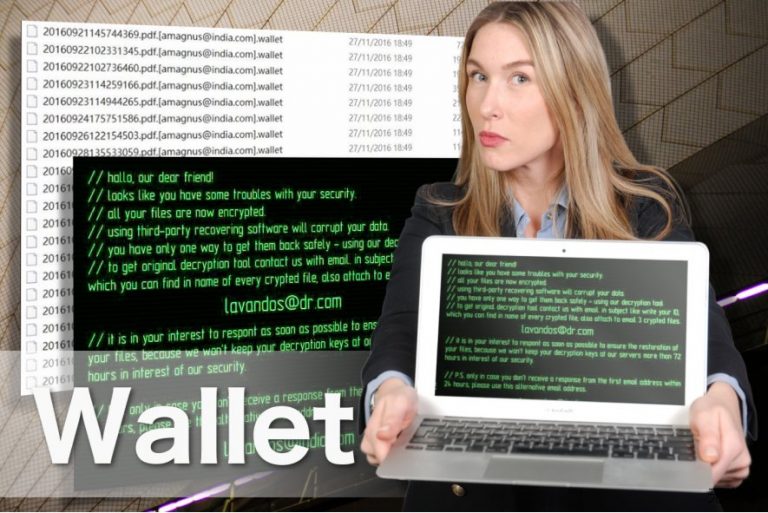 Wallet 勒索软件图像