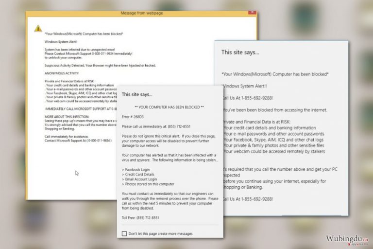 Your Windows (Microsoft) Computer has been blocked 病毒